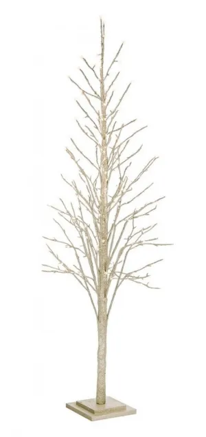 2x Albero Glad Champagne H180