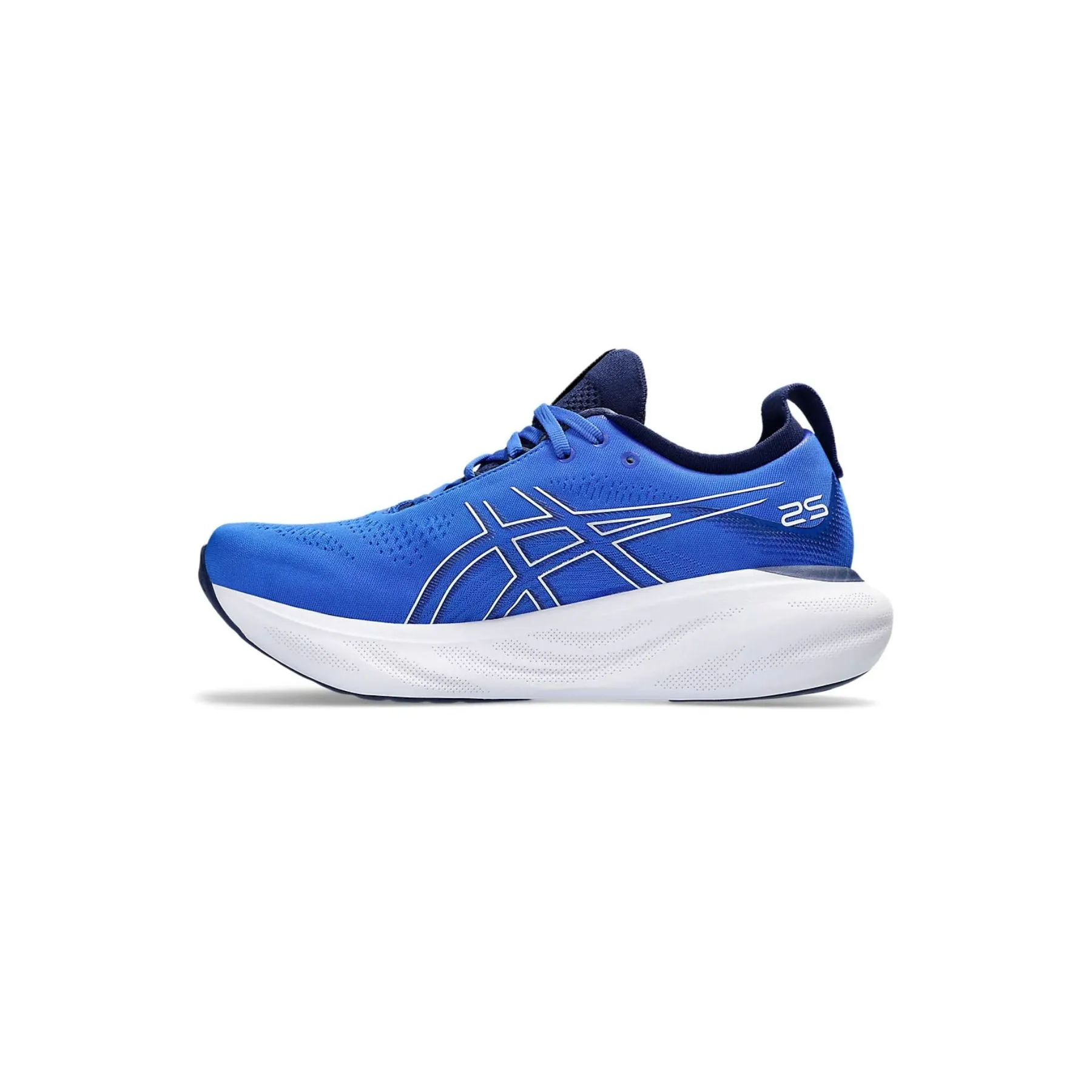 ASICS GEL NIMBUS 25