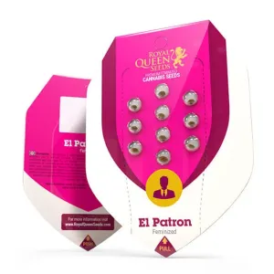 El Patron Feminized